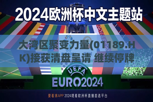 大湾区聚变力量(01189.HK)接获清盘呈请 继续停牌  第1张