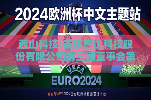 西山科技:重庆西山科技股份有限公司第三届董事会第二十九次会议决议公告