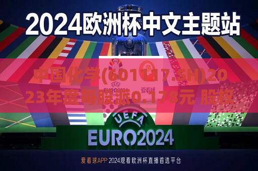 中国化学(601117.SH)2023年度每股派0.178元 股权登记日为7月12日  第1张
