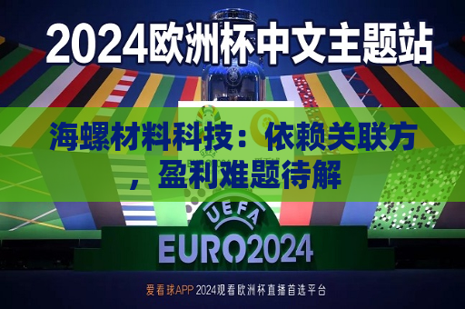 海螺材料科技：依赖关联方，盈利难题待解