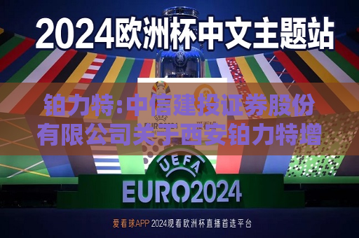 铂力特:中信建投证券股份有限公司关于西安铂力特增材技术股份有限公司部分募投项目新增实施主体和实施地点的核查意见