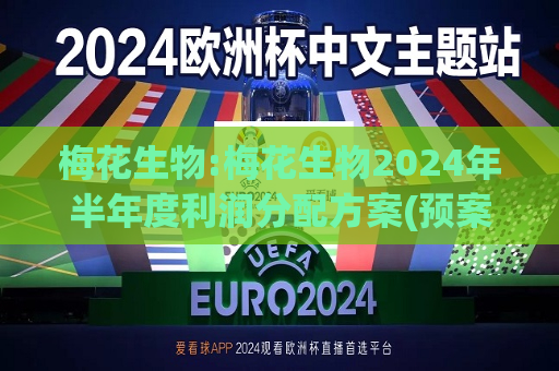 梅花生物:梅花生物2024年半年度利润分配方案(预案)公告  第1张