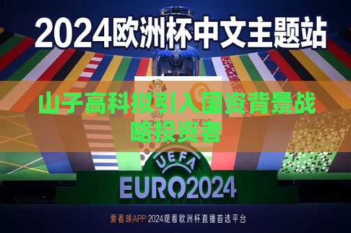 山子高科拟引入国资背景战略投资者  第1张