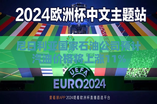 尼日利亚国家石油公司预计汽油价格将上涨11%
