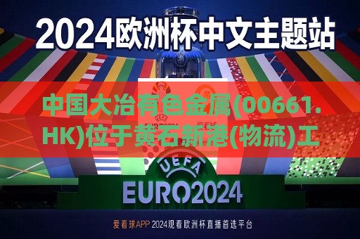 中国大冶有色金属(00661.HK)位于黄石新港(物流)工业园区阳新弘盛铜业一处装置发生火灾  第1张