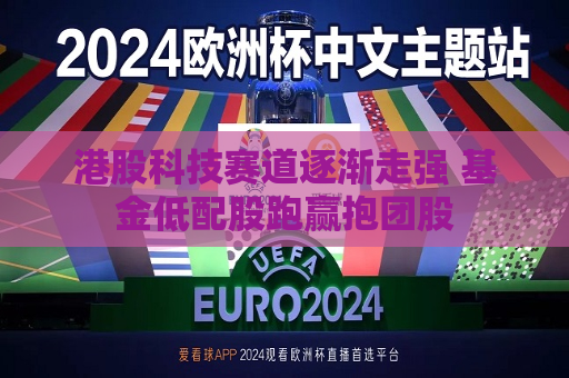 港股科技赛道逐渐走强 基金低配股跑赢抱团股  第1张