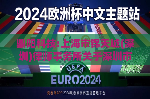 鼎阳科技:上海市锦天城(深圳)律师事务所关于深圳市鼎阳科技股份有限公司2024年限制性股票激励计划调整及首次授予事项的法律意见书