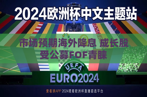 市场预期海外降息 成长股受公募FOF青睐  第1张