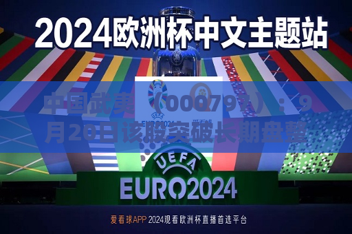 中国武夷 （000797）：9月20日该股突破长期盘整  第1张