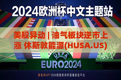美股异动 | 油气板块逆市上涨 休斯敦能源(HUSA.US)涨超20%