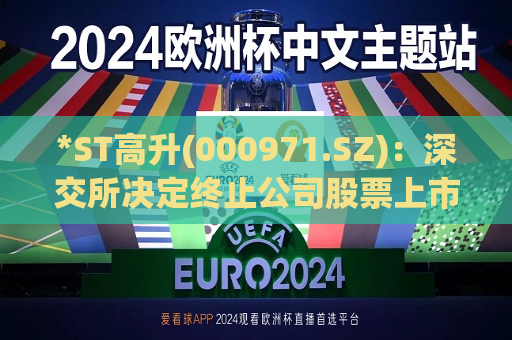 *ST高升(000971.SZ)：深交所决定终止公司股票上市