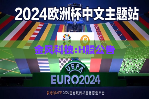 金风科技:H股公告  第1张