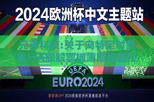 兄弟科技:关于向特定对象发行A股股票摊薄即期回报、填补措施及相关主体承诺（四次修订稿）的公告  第1张