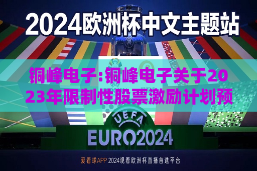 铜峰电子:铜峰电子关于2023年限制性股票激励计划预留授予结果公告  第1张