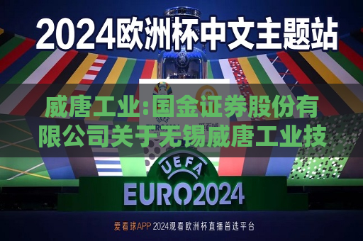 威唐工业:国金证券股份有限公司关于无锡威唐工业技术股份有限公司新增关联交易的专项核查意见  第1张