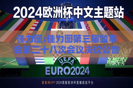 佳力图:佳力图第三届监事会第二十八次会议决议公告