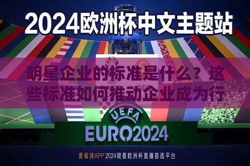 明星企业的标准是什么？这些标准如何推动企业成为行业佼佼者？  第1张