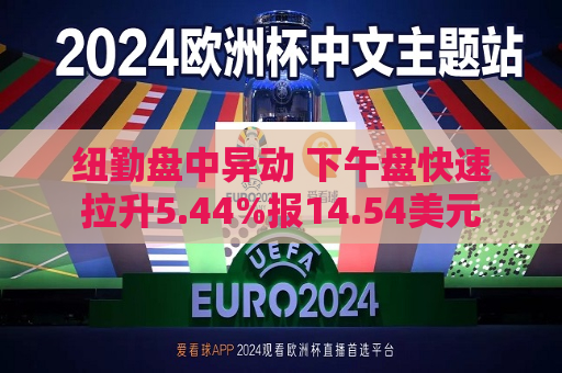 纽勤盘中异动 下午盘快速拉升5.44%报14.54美元  第1张