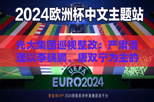 光大集团巡视整改：严肃清理以李晓鹏、唐双宁为主的“关系户”“小圈子”