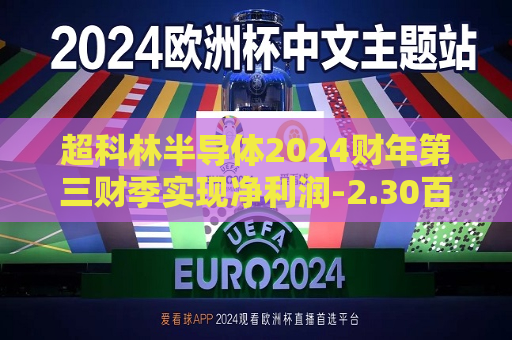 超科林半导体2024财年第三财季实现净利润-2.30百万美元，同比增加84.14%  第1张