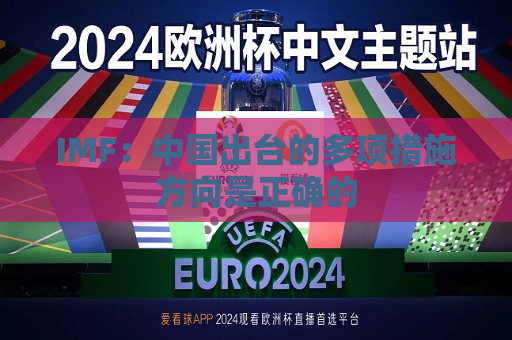 IMF：中国出台的多项措施方向是正确的  第1张