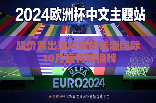 股价曾出现闪崩的佳源国际 10月底将被摘牌  第1张