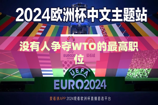 没有人争夺WTO的更高职位  第1张