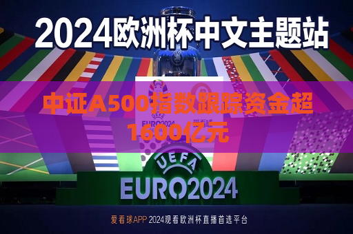 中证A500指数跟踪资金超1600亿元  第1张