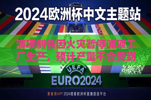 浦项制铁因火灾暂停浦项工厂生产，预计产量不会受到影响  第1张