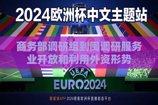 商务部调研组到闽调研服务业开放和利用外资形势  第1张