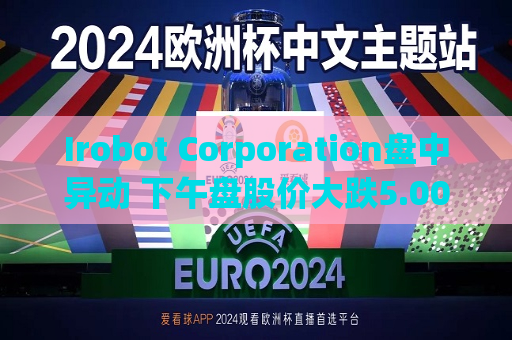 Irobot Corporation盘中异动 下午盘股价大跌5.00%报6.56美元