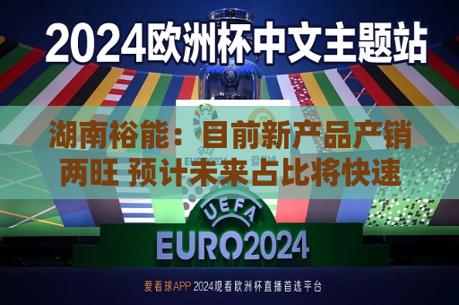 湖南裕能：目前新产品产销两旺 预计未来占比将快速提升  第1张