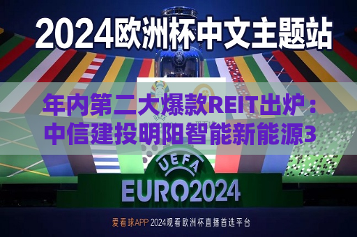年内第二大爆款REIT出炉：中信建投明阳智能新能源314.98倍火爆认购