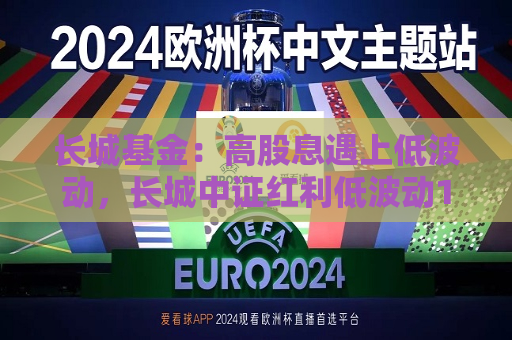 长城基金：高股息遇上低波动，长城中证红利低波动100即将发行  第1张