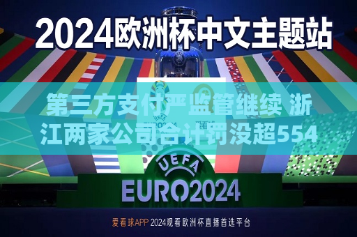 第三方支付严监管继续 浙江两家公司合计罚没超554万
