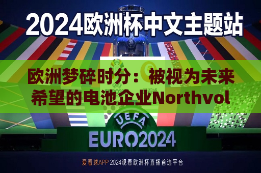 欧洲梦碎时分：被视为未来希望的电池企业Northvolt宣告破产  第1张