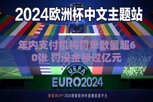 年内支付机构罚单数量超60张 罚没金额过亿元  第1张