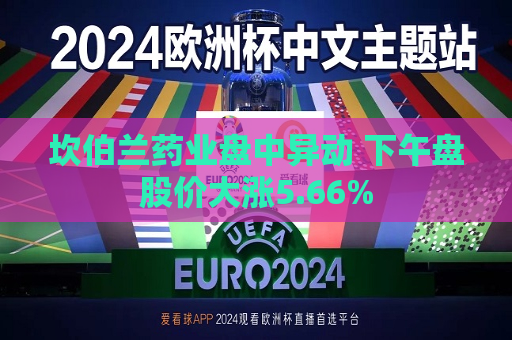 坎伯兰药业盘中异动 下午盘股价大涨5.66%  第1张