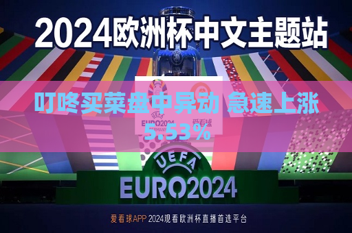 叮咚买菜盘中异动 急速上涨5.53%  第1张