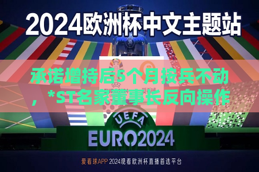 承诺增持后5个月按兵不动，*ST名家董事长反向操作减持30笔  第1张