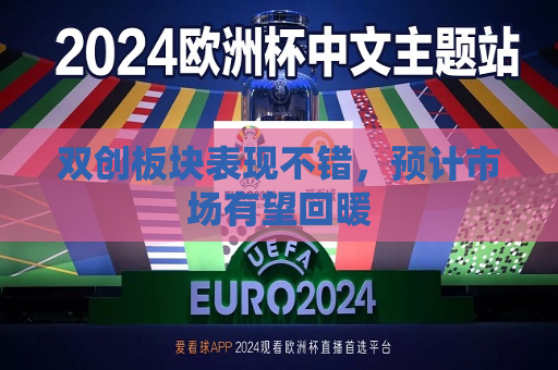 双创板块表现不错，预计市场有望回暖