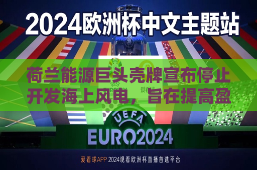 荷兰能源巨头壳牌宣布停止开发海上风电，旨在提高盈利  第1张
