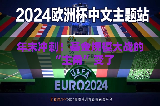 年末冲刺！基金规模大战的“主角”变了  第1张