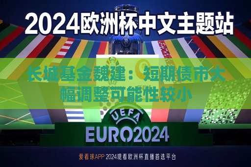 长城基金魏建：短期债市大幅调整可能性较小