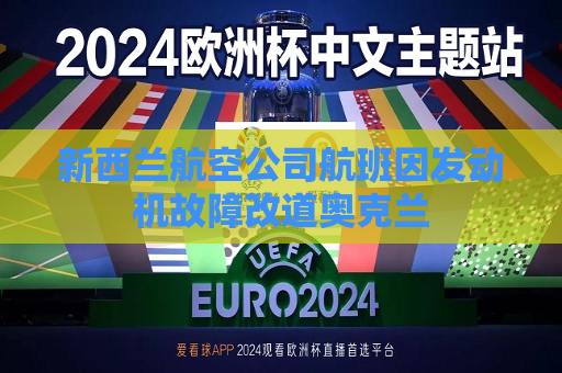 新西兰航空公司航班因发动机故障改道奥克兰  第1张