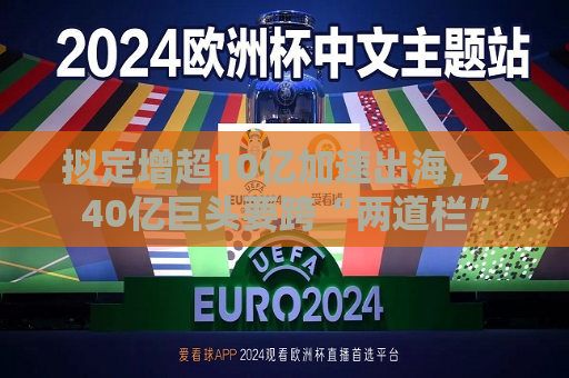 拟定增超10亿加速出海，240亿巨头要跨“两道栏”