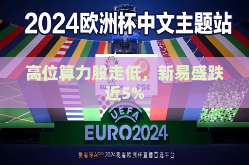 高位算力股走低，新易盛跌近5%  第1张