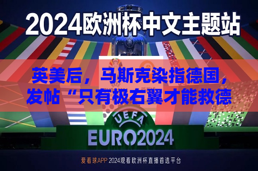 英美后，马斯克染指德国，发帖“只有极右翼才能救德国”  第1张
