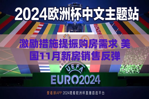 激励措施提振购房需求 美国11月新房销售反弹  第1张