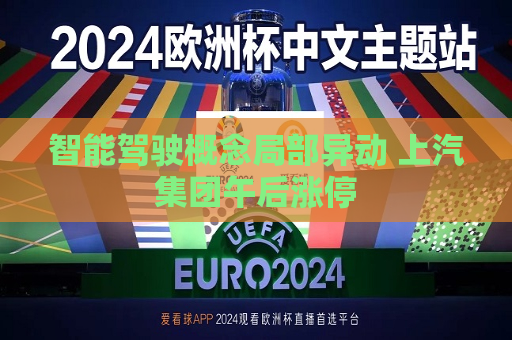 智能驾驶概念局部异动 上汽集团午后涨停